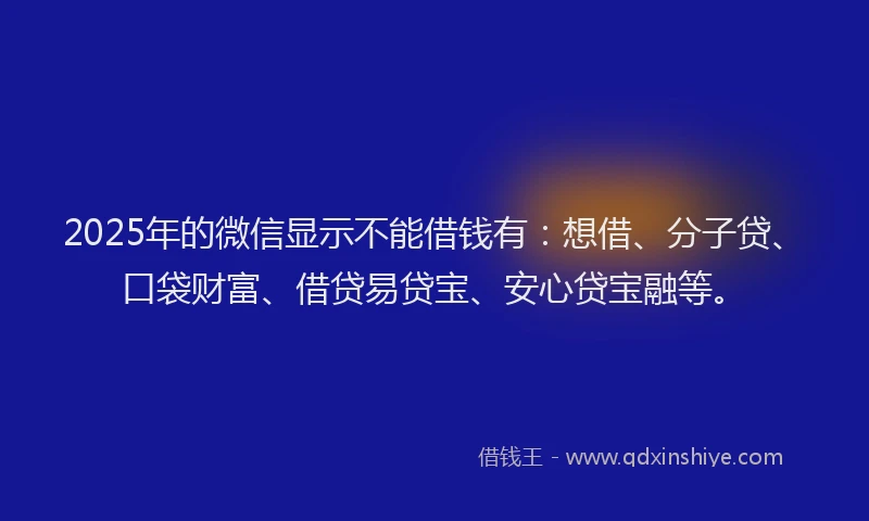 2025年的微信显示不能借钱有：想借、分子贷、口袋财富、借贷易贷宝、安心贷宝融等。