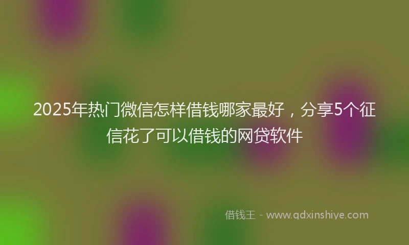 2025年热门微信怎样借钱哪家最好，分享5个征信花了可以借钱的网贷软件