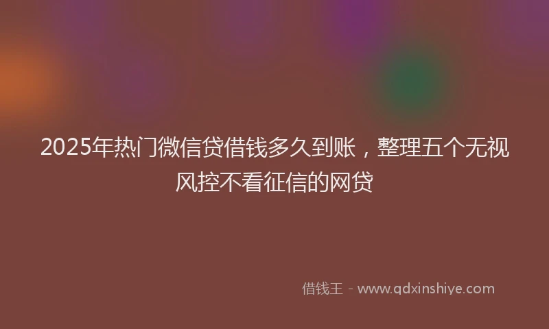 2025年热门微信贷借钱多久到账，整理五个无视风控不看征信的网贷