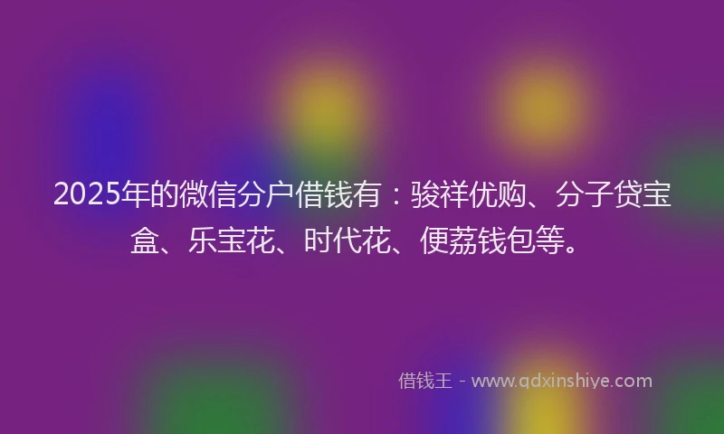 2025年的微信分户借钱有：骏祥优购、分子贷宝盒、乐宝花、时代花、便荔钱包等。