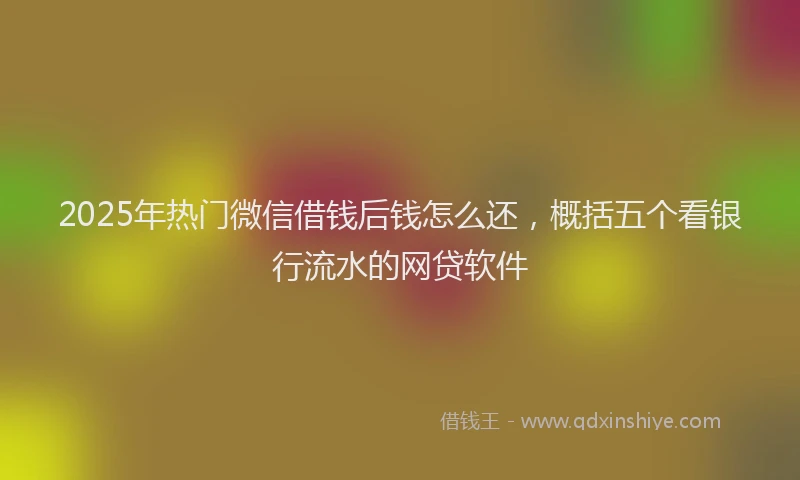 2025年热门微信借钱后钱怎么还，概括五个看银行流水的网贷软件