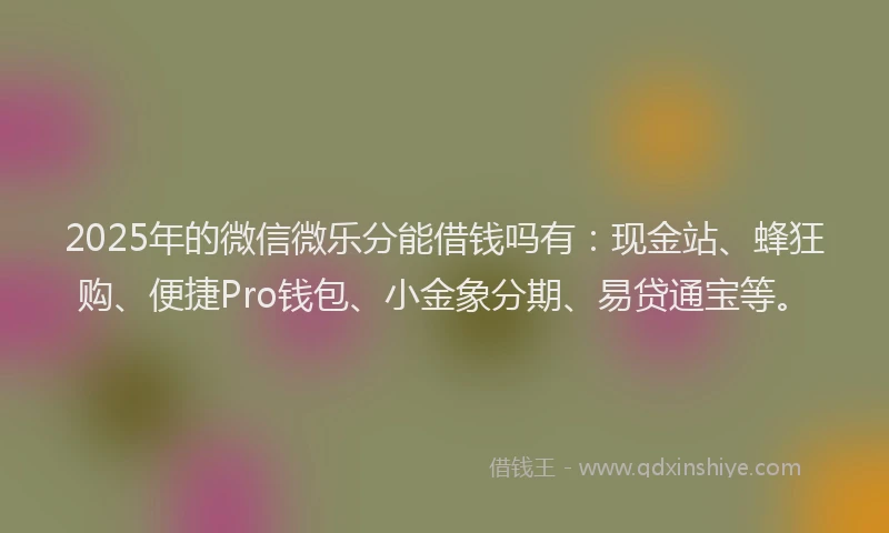 2025年的微信微乐分能借钱吗有：现金站、蜂狂购、便捷Pro钱包、小金象分期、易贷通宝等。