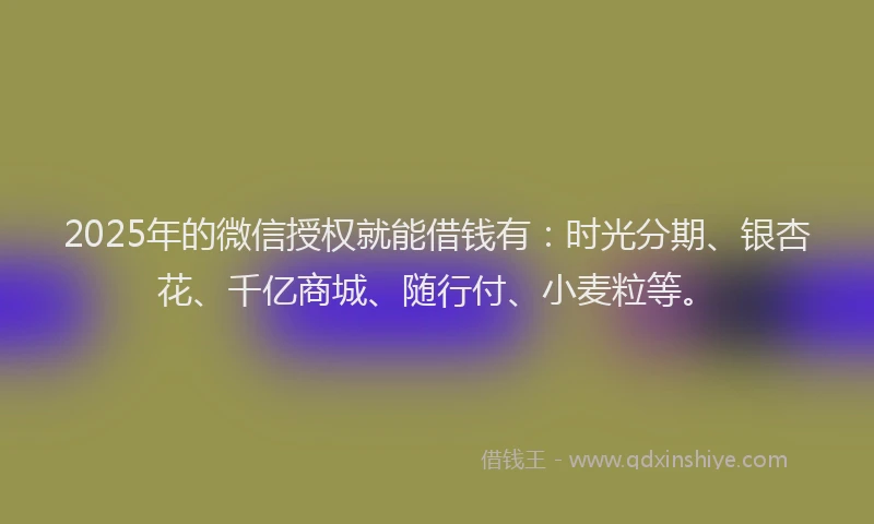 2025年的微信授权就能借钱有：时光分期、银杏花、千亿商城、随行付、小麦粒等。