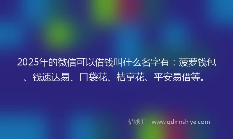 2025年的微信可以借钱叫什么名字有：菠萝钱包、钱速达易、口袋花、桔享花、平安易借等。