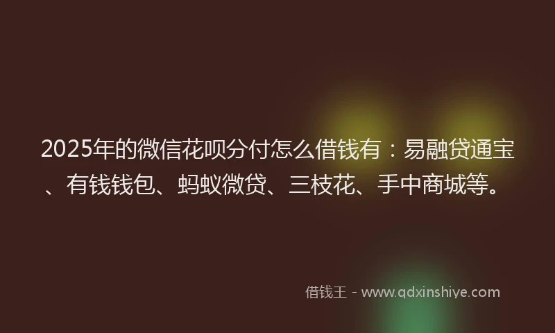 2025年的微信花呗分付怎么借钱有：易融贷通宝、有钱钱包、蚂蚁微贷、三枝花、手中商城等。
