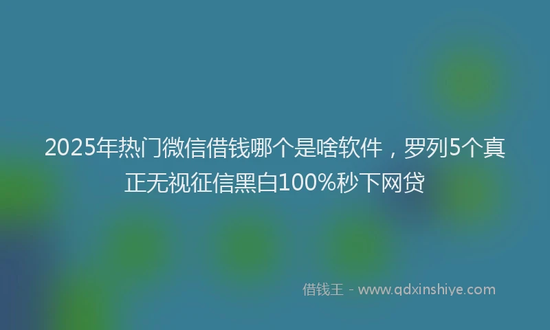 2025年热门微信借钱哪个是啥软件，罗列5个真正无视征信黑白100%秒下网贷