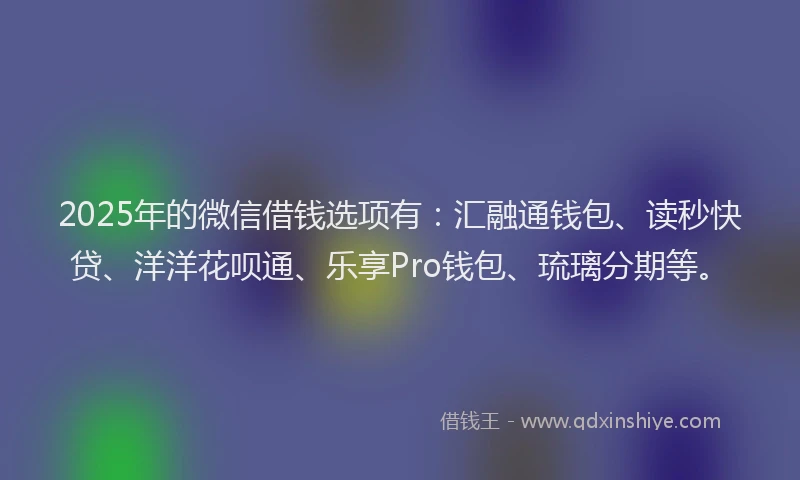 2025年的微信借钱选项有：汇融通钱包、读秒快贷、洋洋花呗通、乐享Pro钱包、琉璃分期等。