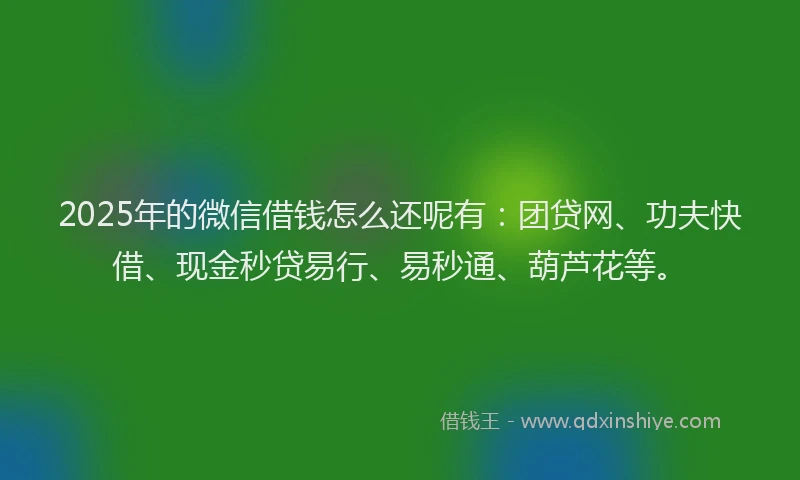 2025年的微信借钱怎么还呢有：团贷网、功夫快借、现金秒贷易行、易秒通、葫芦花等。