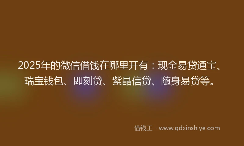2025年的微信借钱在哪里开有：现金易贷通宝、瑞宝钱包、即刻贷、紫晶信贷、随身易贷等。