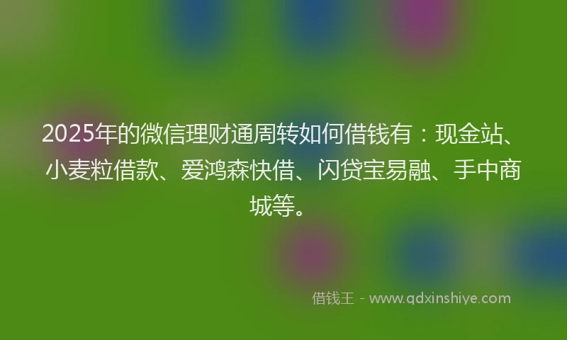 2025年的微信理财通周转如何借钱有：现金站、小麦粒借款、爱鸿森快借、闪贷宝易融、手中商城等。