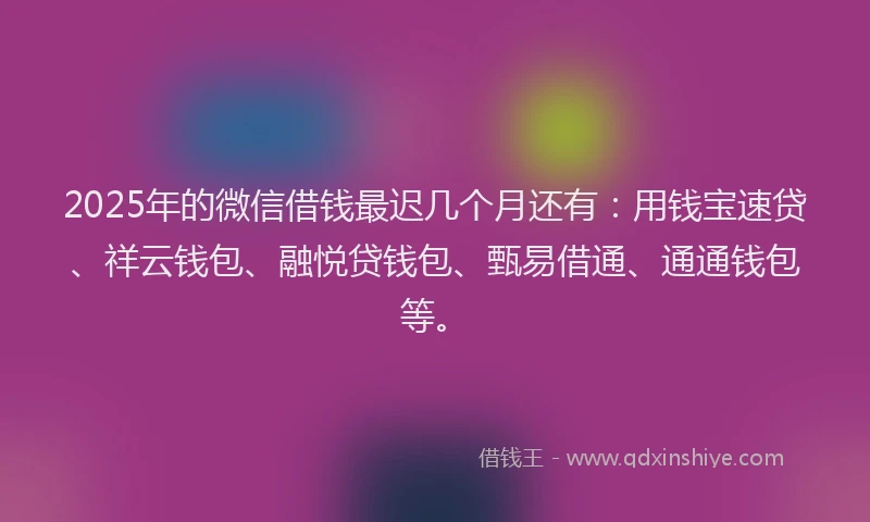 2025年的微信借钱最迟几个月还有：用钱宝速贷、祥云钱包、融悦贷钱包、甄易借通、通通钱包等。