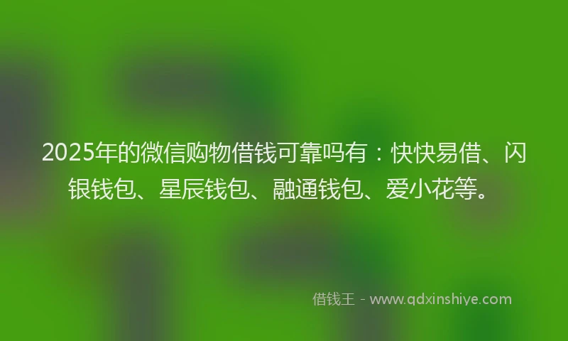 2025年的微信购物借钱可靠吗有：快快易借、闪银钱包、星辰钱包、融通钱包、爱小花等。
