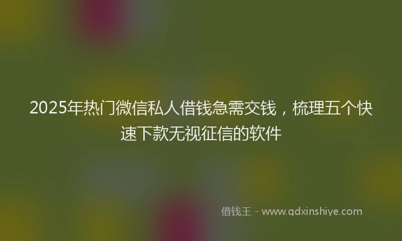 2025年热门微信私人借钱急需交钱，梳理五个快速下款无视征信的软件