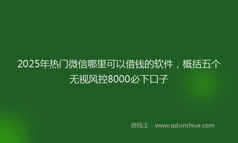 2025年热门微信哪里可以借钱的软件，概括五个无视风控8000必下口子