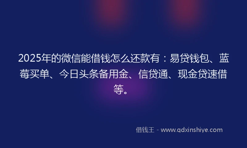 2025年的微信能借钱怎么还款有：易贷钱包、蓝莓买单、今日头条备用金、信贷通、现金贷速借等。