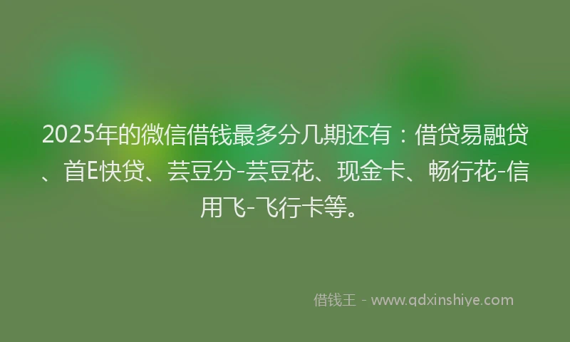2025年的微信借钱最多分几期还有：借贷易融贷、首E快贷、芸豆分-芸豆花、现金卡、畅行花-信用飞-飞行卡等。