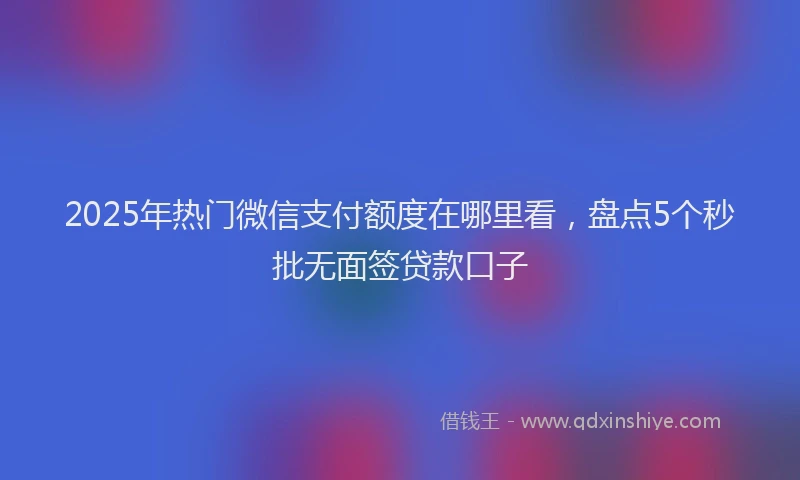 2025年热门微信支付额度在哪里看，盘点5个秒批无面签贷款口子