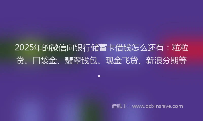 2025年的微信向银行储蓄卡借钱怎么还有：粒粒贷、口袋金、翡翠钱包、现金飞贷、新浪分期等。
