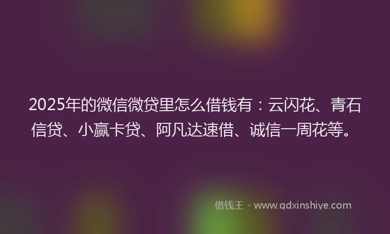2025年的微信微贷里怎么借钱有：云闪花、青石信贷、小赢卡贷、阿凡达速借、诚信一周花等。