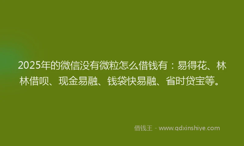 2025年的微信没有微粒怎么借钱有：易得花、林林借呗、现金易融、钱袋快易融、省时贷宝等。