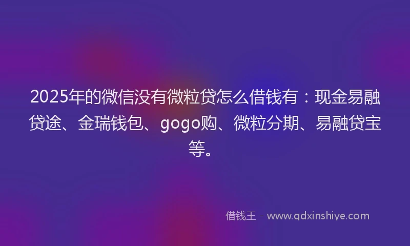 2025年的微信没有微粒贷怎么借钱有：现金易融贷途、金瑞钱包、gogo购、微粒分期、易融贷宝等。