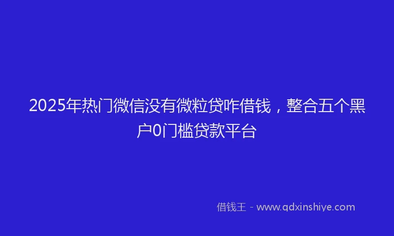 2025年热门微信没有微粒贷咋借钱，整合五个黑户0门槛贷款平台