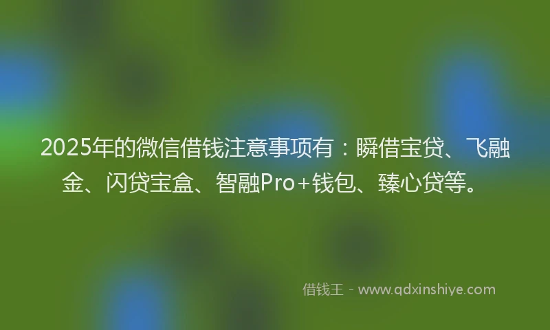 2025年的微信借钱注意事项有：瞬借宝贷、飞融金、闪贷宝盒、智融Pro+钱包、臻心贷等。