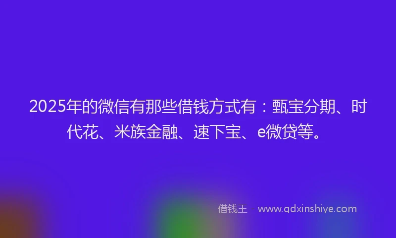 2025年的微信有那些借钱方式有：甄宝分期、时代花、米族金融、速下宝、e微贷等。
