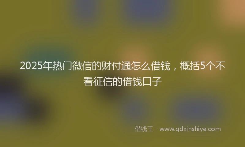 2025年热门微信的财付通怎么借钱，概括5个不看征信的借钱口子