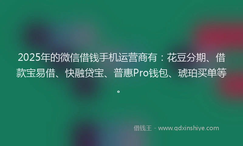 2025年的微信借钱手机运营商有：花豆分期、借款宝易借、快融贷宝、普惠Pro钱包、琥珀买单等。