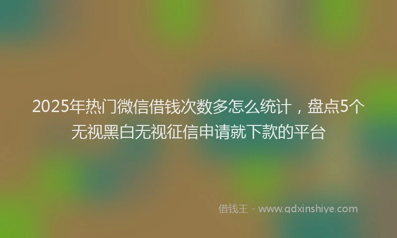2025年热门微信借钱次数多怎么统计，盘点5个无视黑白无视征信申请就下款的平台