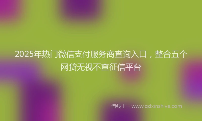 2025年热门微信支付服务商查询入口，整合五个网贷无视不查征信平台