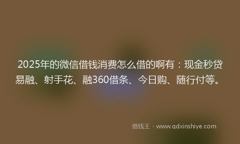 2025年的微信借钱消费怎么借的啊有：现金秒贷易融、射手花、融360借条、今日购、随行付等。