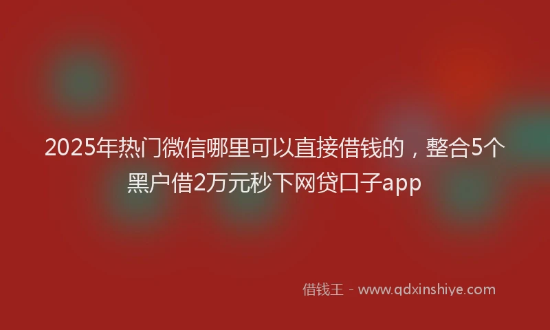 2025年热门微信哪里可以直接借钱的，整合5个黑户借2万元秒下网贷口子app
