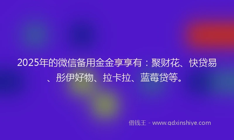2025年的微信备用金金享享有：聚财花、快贷易、彤伊好物、拉卡拉、蓝莓贷等。