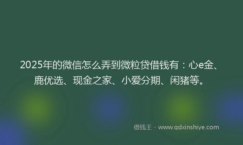 2025年的微信怎么弄到微粒贷借钱有：心e金、鹿优选、现金之家、小爱分期、闲猪等。