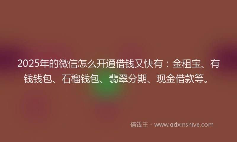 2025年的微信怎么开通借钱又快有：金租宝、有钱钱包、石榴钱包、翡翠分期、现金借款等。