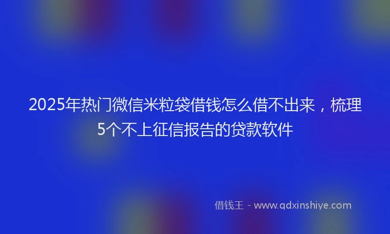 2025年热门微信米粒袋借钱怎么借不出来，梳理5个不上征信报告的贷款软件