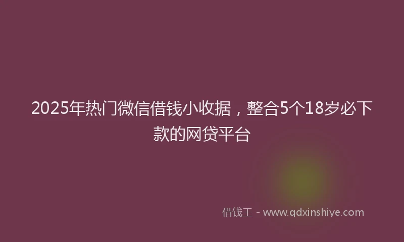 2025年热门微信借钱小收据，整合5个18岁必下款的网贷平台