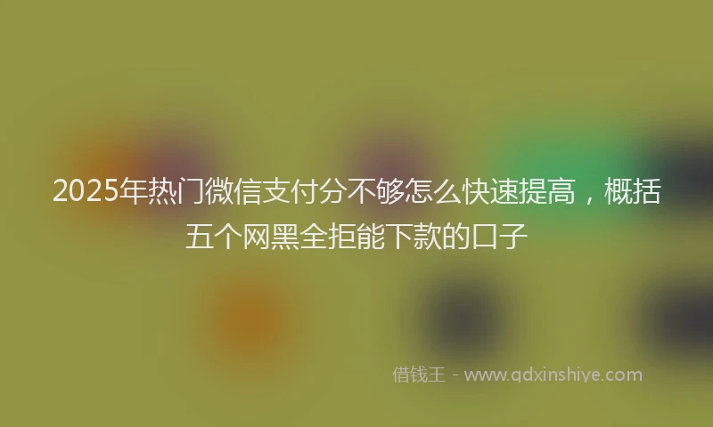 2025年热门微信支付分不够怎么快速提高，概括五个网黑全拒能下款的口子