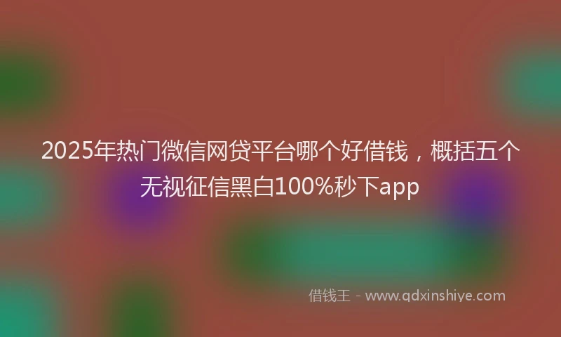 2025年热门微信网贷平台哪个好借钱，概括五个无视征信黑白100%秒下app