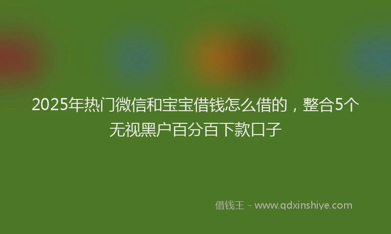 2025年热门微信和宝宝借钱怎么借的，整合5个无视黑户百分百下款口子