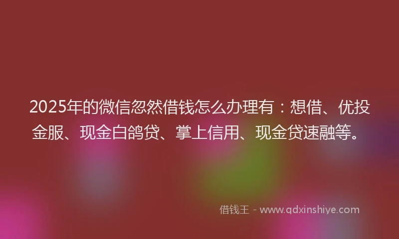 2025年的微信忽然借钱怎么办理有：想借、优投金服、现金白鸽贷、掌上信用、现金贷速融等。