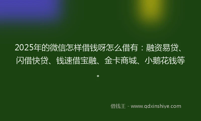 2025年的微信怎样借钱呀怎么借有：融资易贷、闪借快贷、钱速借宝融、金卡商城、小鹅花钱等。