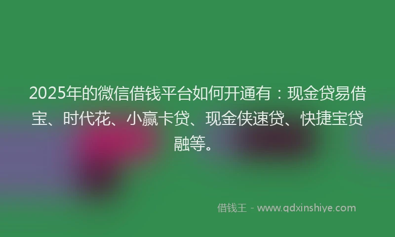 2025年的微信借钱平台如何开通有：现金贷易借宝、时代花、小赢卡贷、现金侠速贷、快捷宝贷融等。