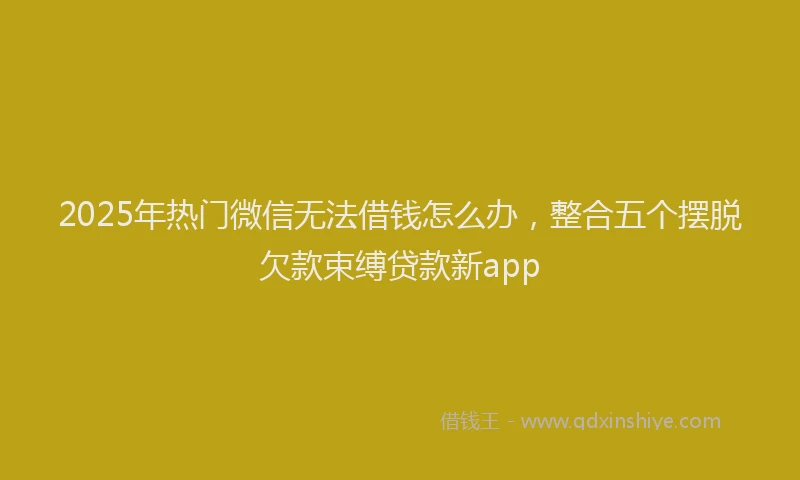 2025年热门微信无法借钱怎么办，整合五个摆脱欠款束缚贷款新app