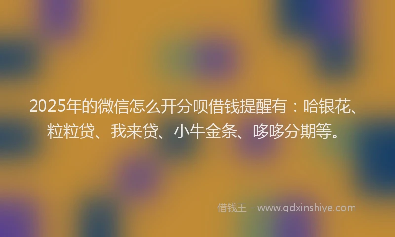 2025年的微信怎么开分呗借钱提醒有：哈银花、粒粒贷、我来贷、小牛金条、哆哆分期等。