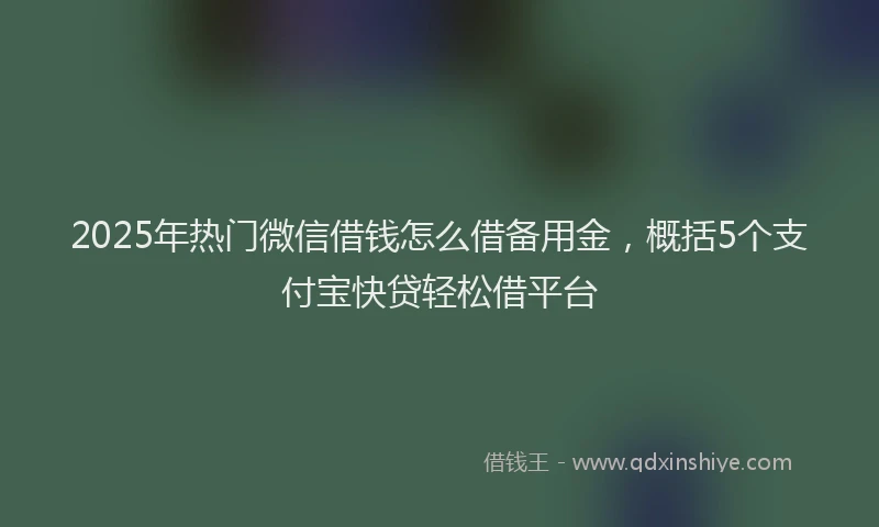 2025年热门微信借钱怎么借备用金，概括5个支付宝快贷轻松借平台