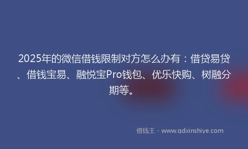 2025年的微信借钱限制对方怎么办有：借贷易贷、借钱宝易、融悦宝Pro钱包、优乐快购、树融分期等。