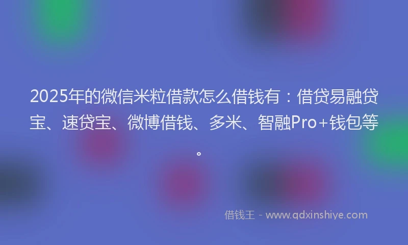 2025年的微信米粒借款怎么借钱有：借贷易融贷宝、速贷宝、微博借钱、多米、智融Pro+钱包等。